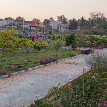 SR Gardenia Images SR Gardenia.jpg