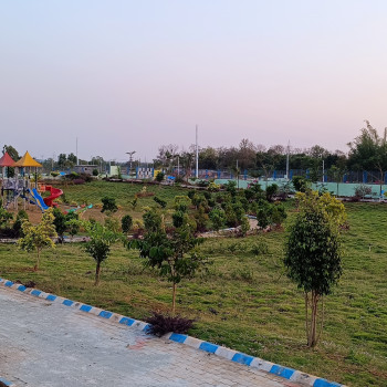 SR Gardenia Images SR Gardenia.jpg.jpg