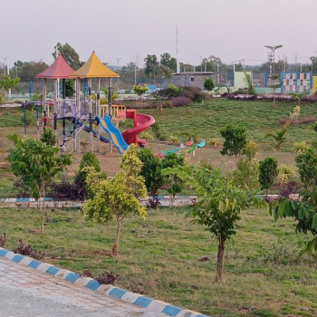 SR Gardenia Images SR Gardenia.jpg.jpg