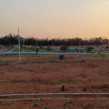 SR Gardenia Images SR Gardenia.jpg.jpg