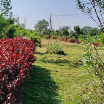 Shristi Serene Gamangathi Images WhatsApp Image 2025-11-20 at 9.50.07 PM.jpeg