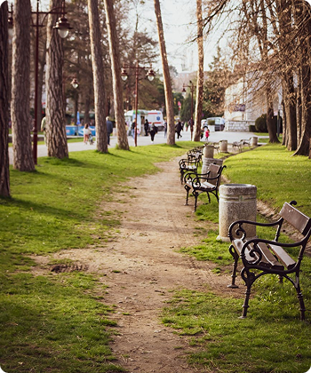 Walking Paths with Sitting Benches