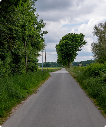 Wide Internal Roads